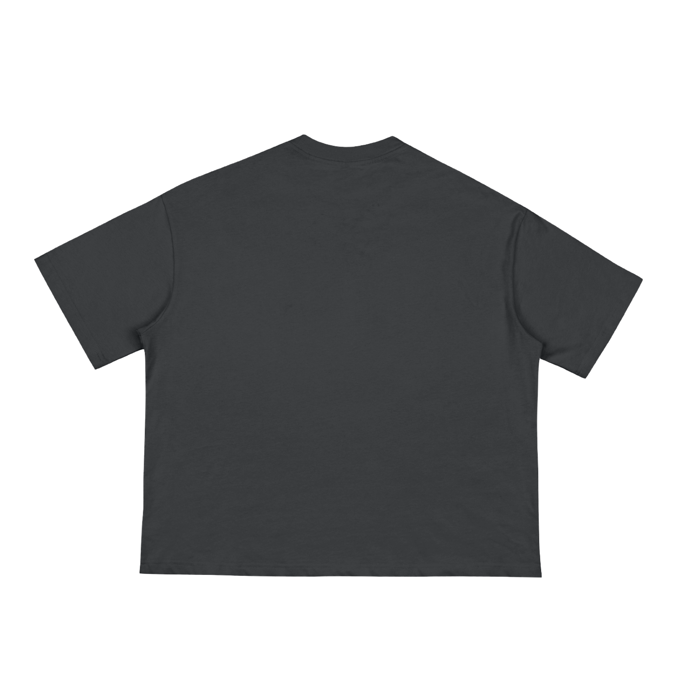 Boxy Unisex Cropped Cigarette Tee