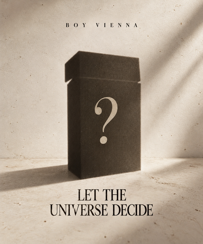Let the Universe Decide What You Need- Mystery Box